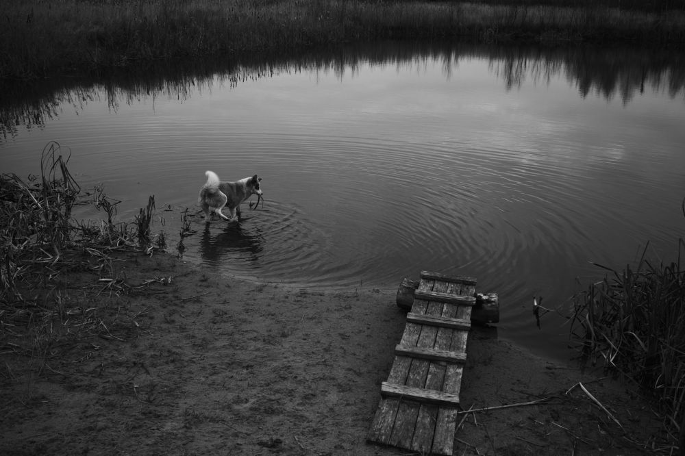 Photograph by Кирилл Колышев