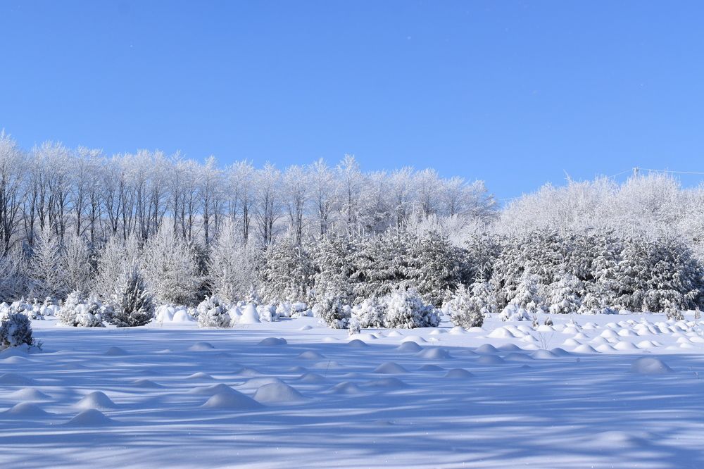 Photograph by Elena Lopatina