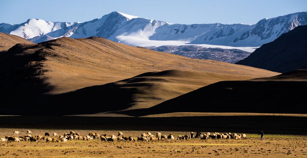 Фотография автора Anuj Medhavi