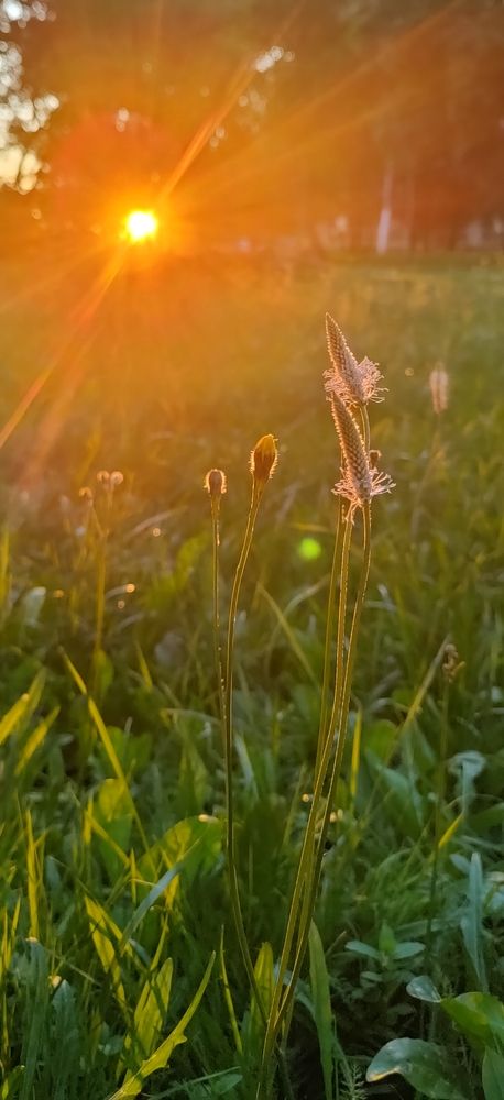 Photograph by Екатерина Самошкина