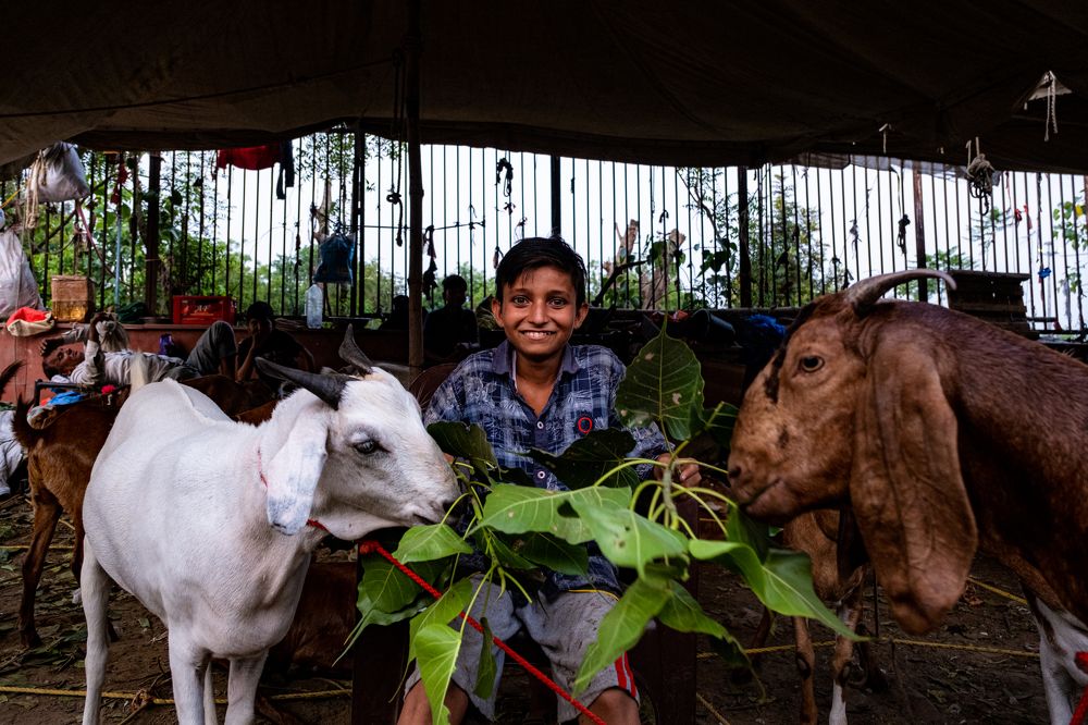 Фотография автора Anuj Medhavi