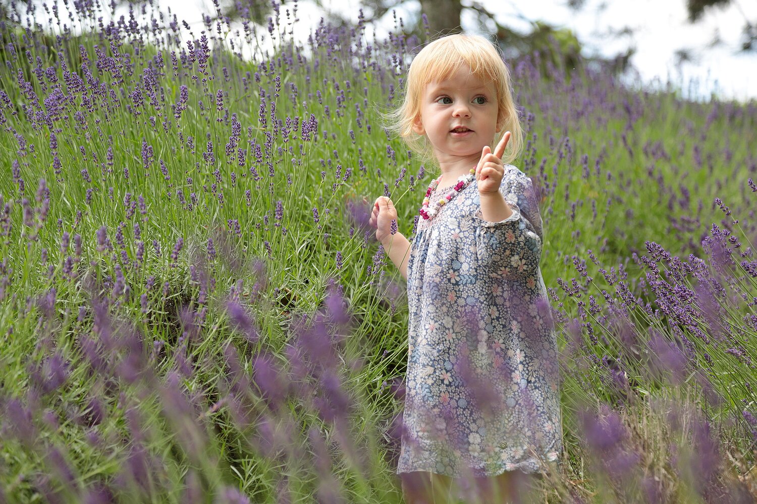 Photo #9541267