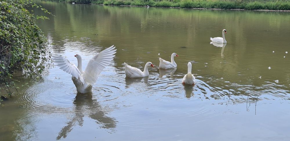 Photograph by Nadzeya