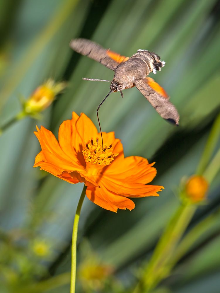 Photograph by Борис Новиков