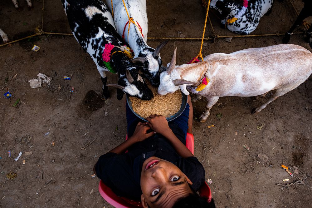 Фотография автора Anuj Medhavi