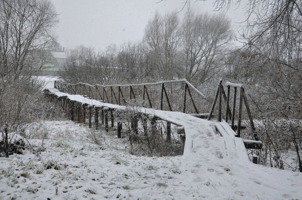 Photograph by Галина Лысых