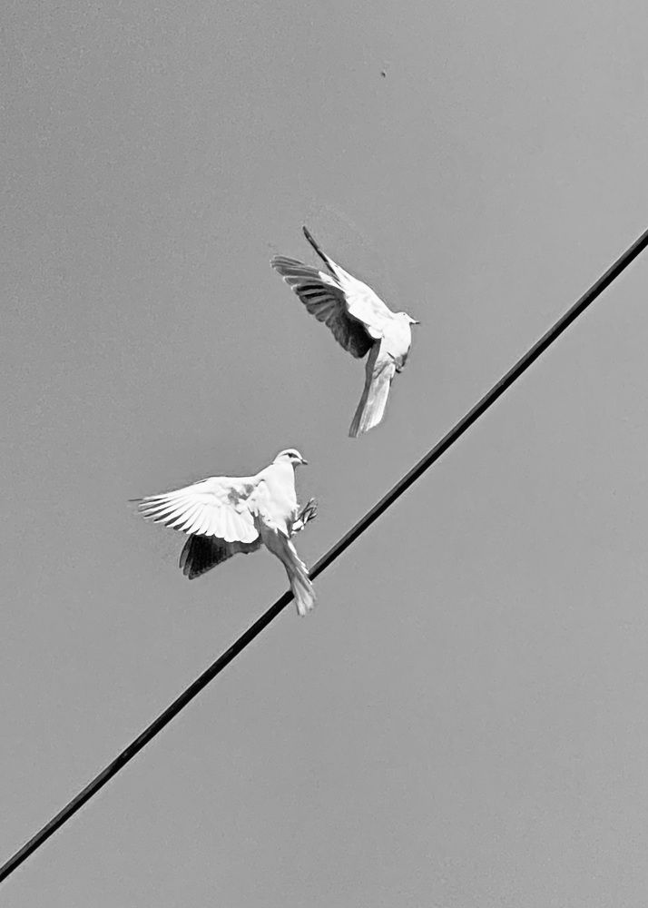 Фотография автора ГУЗАЛИЯ ГАНИЕВА