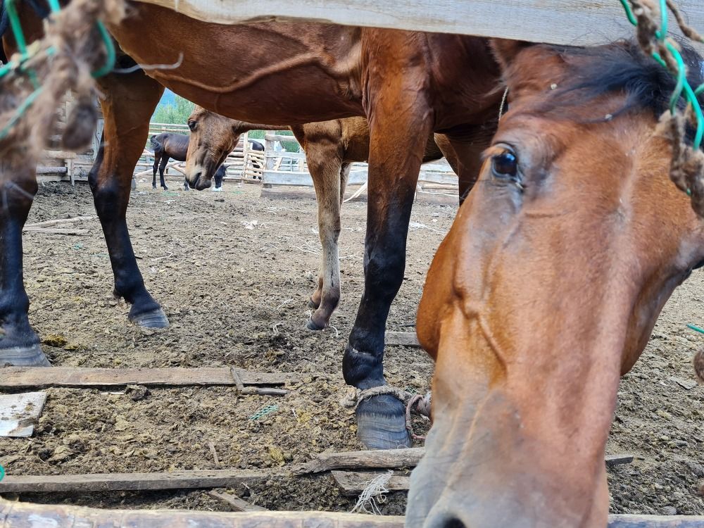 Photograph by Любовь Ершова