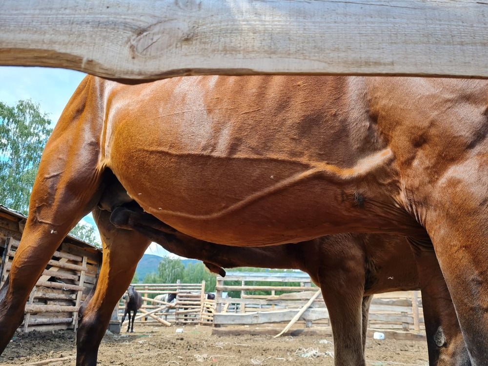 Photograph by Любовь Ершова