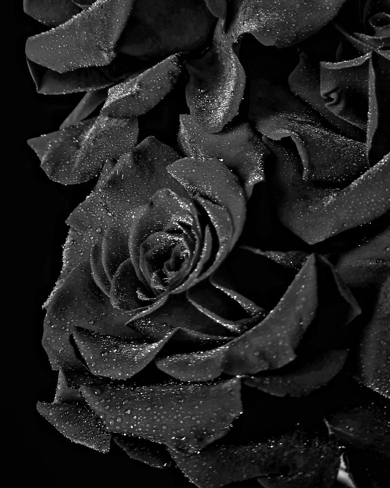 Photograph by Людмила Григорьева