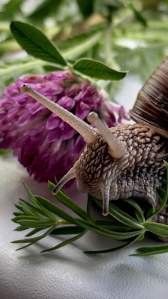 Photograph by Надежда Смирнова