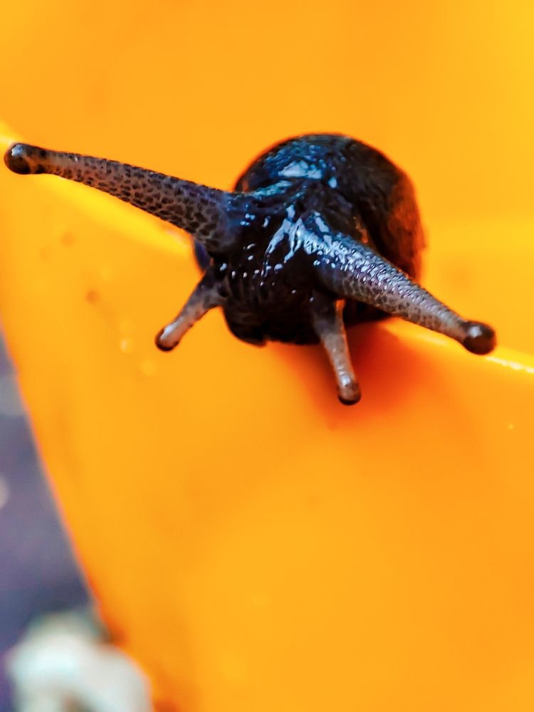 Фотография автора Нина Зинченко