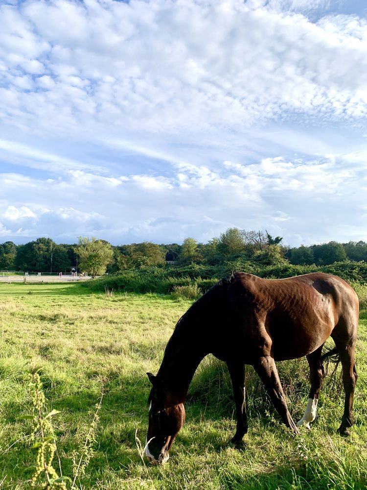 Photograph by Анастасия Мангольд