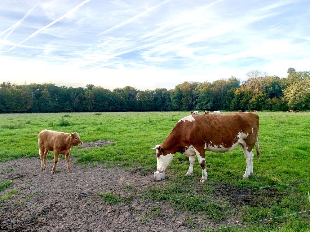 Photograph by Анастасия Мангольд