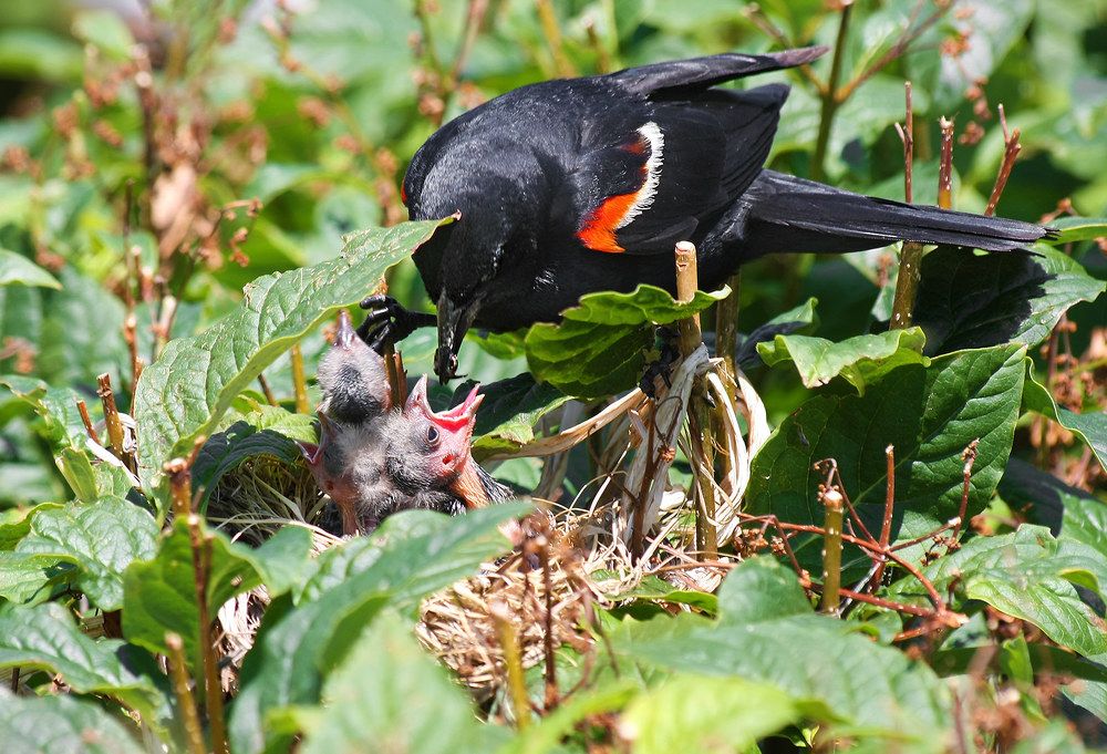 Photograph by Борис Новиков