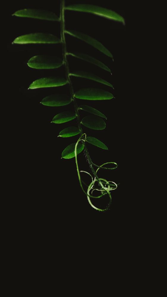 Фотография автора Марина Алексеевская