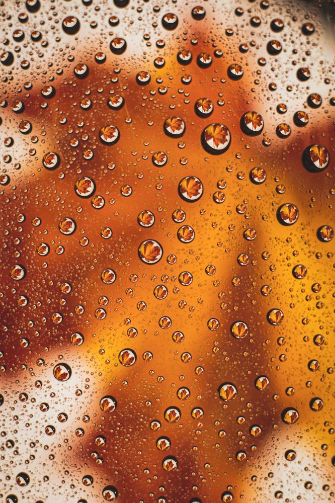 Photograph by Ольга Казакова