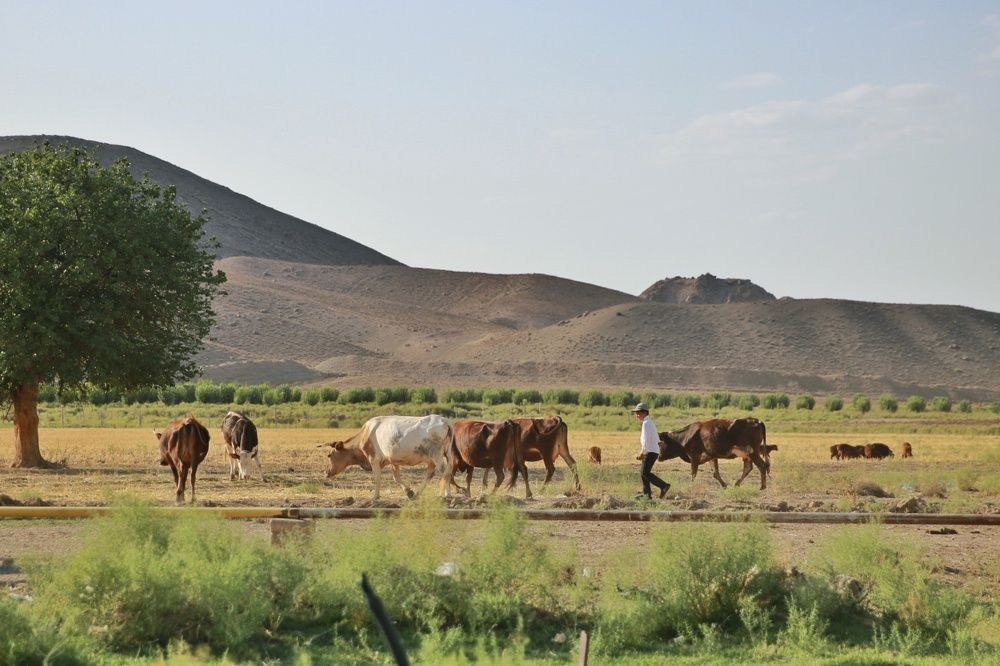 Photograph by Юлия Кулиева