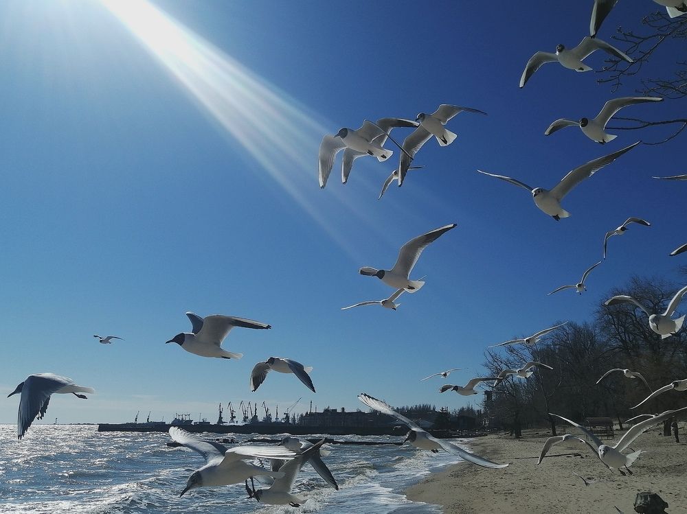 Photograph by Владимир Диденко