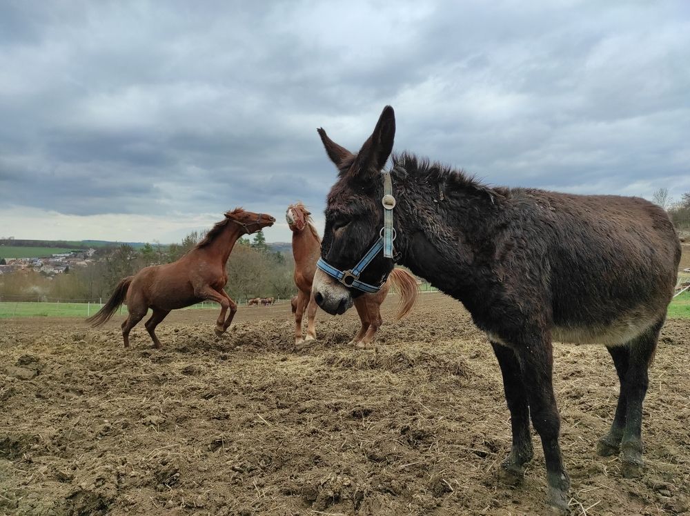 Photograph by Галина Лысых