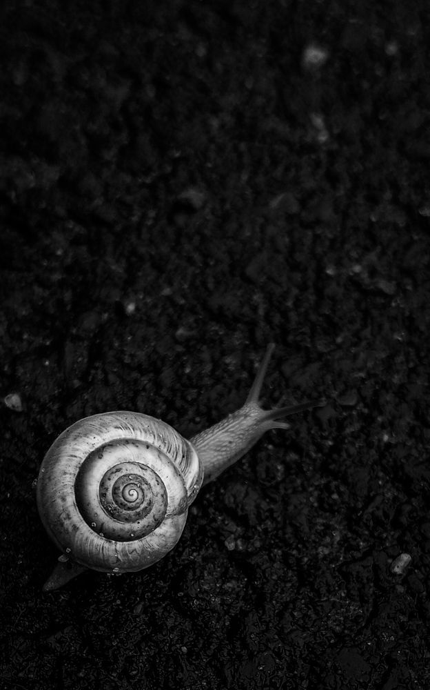 Photograph by Елена (Мори) Кузнецова