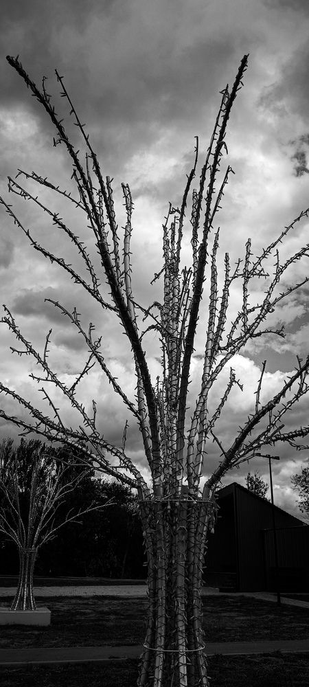 Photograph by Елена (Мори) Кузнецова