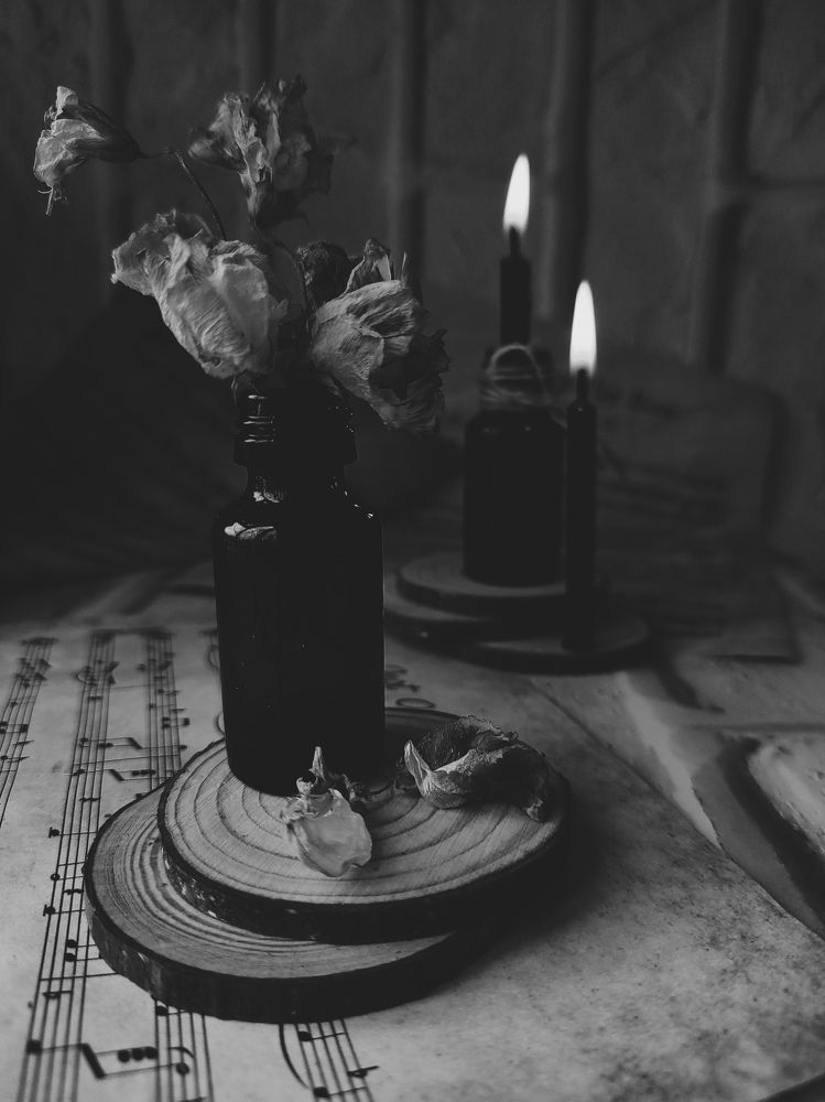 Фотография автора Марина Алексеевская