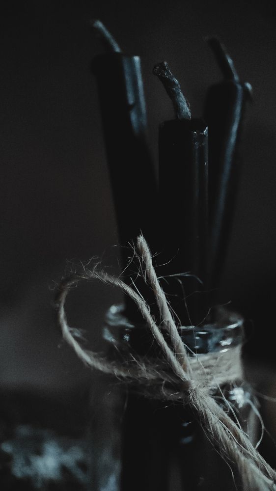 Фотография автора Марина Алексеевская