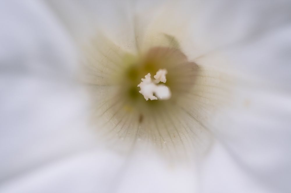 Photograph by Юлия Паршакова