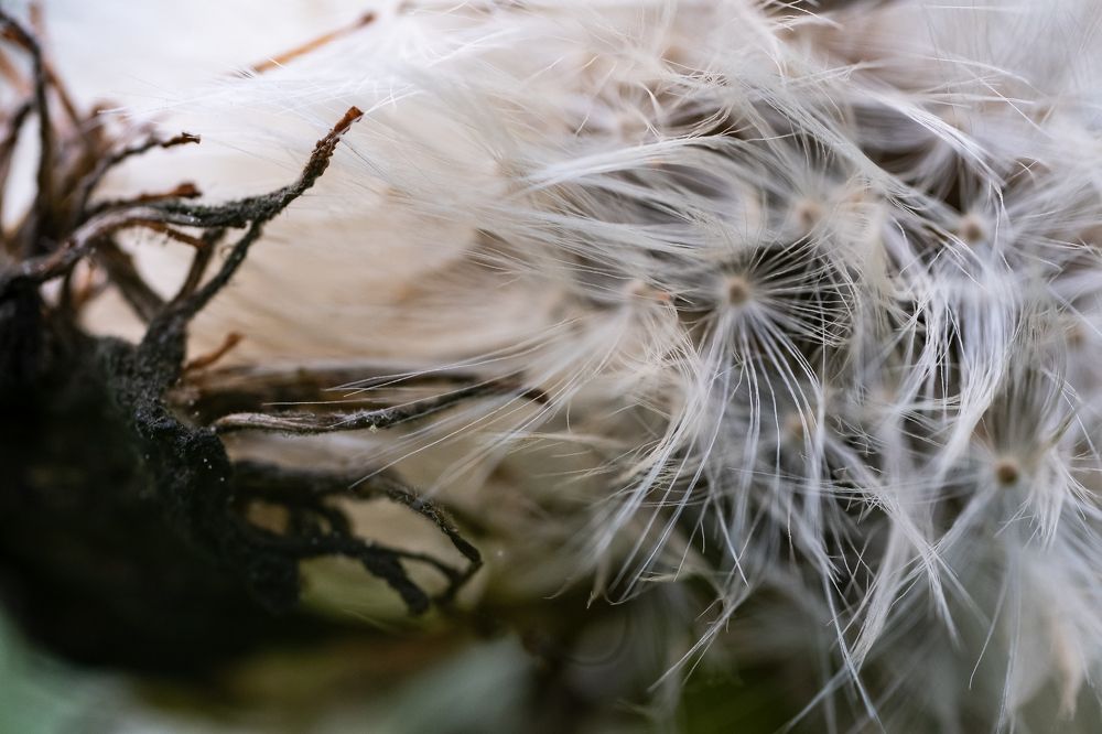 Photograph by Юлия Паршакова