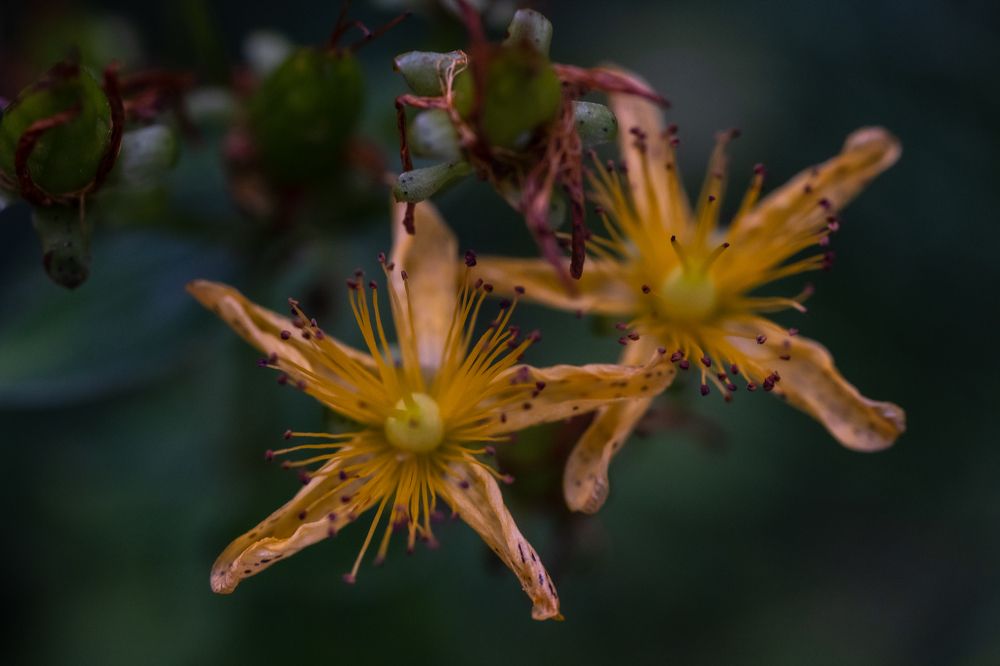 Photograph by Юлия Паршакова