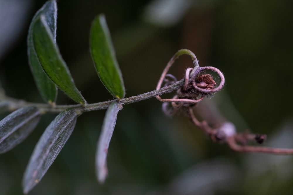 Photograph by Юлия Паршакова