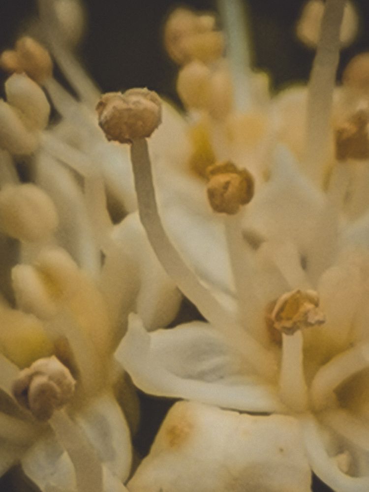 Photograph by Ольга Власова