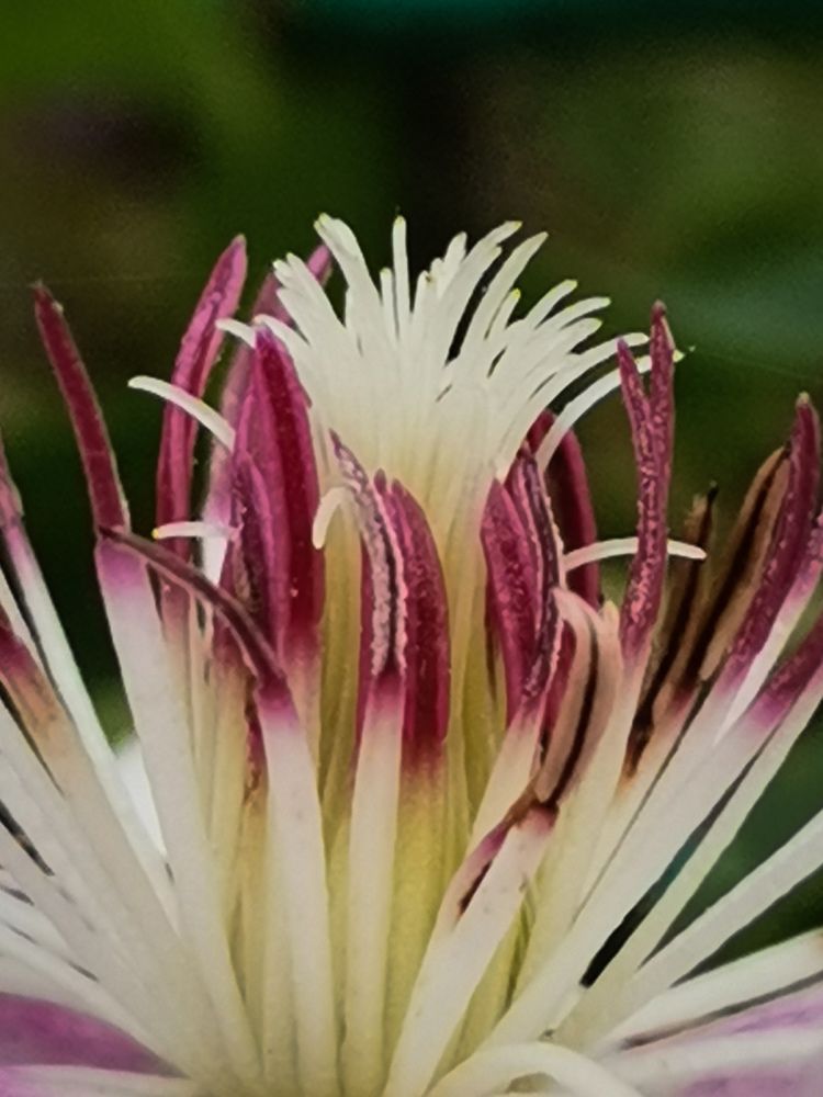 Photograph by Ольга Власова