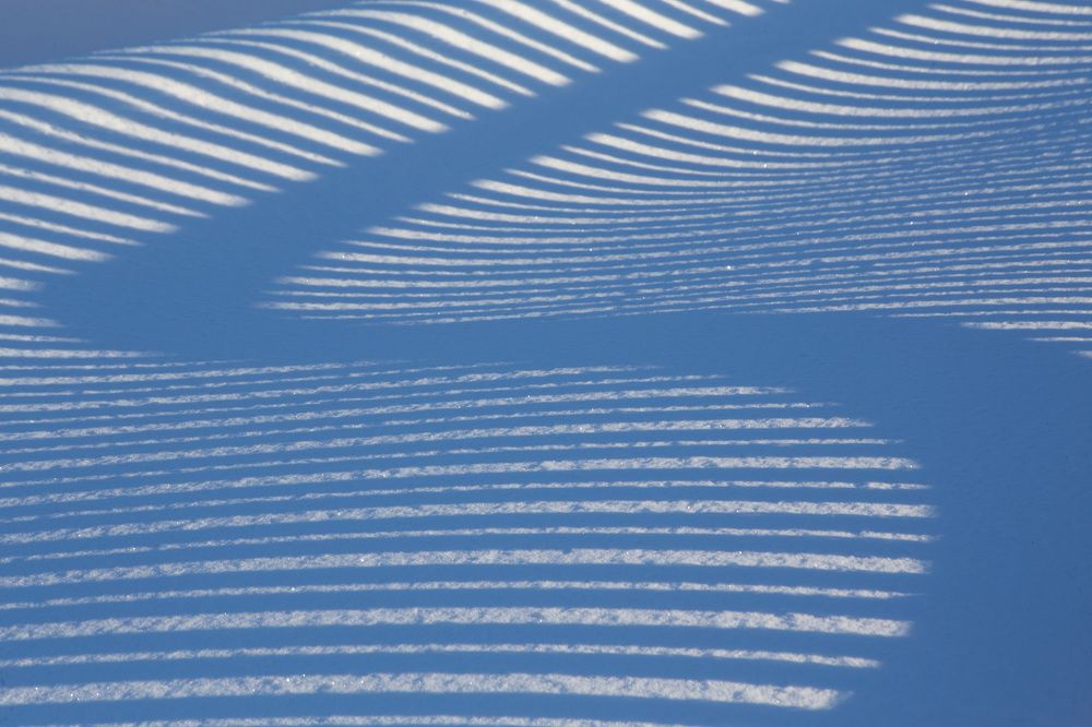 Фотография автора Александр Кожевников