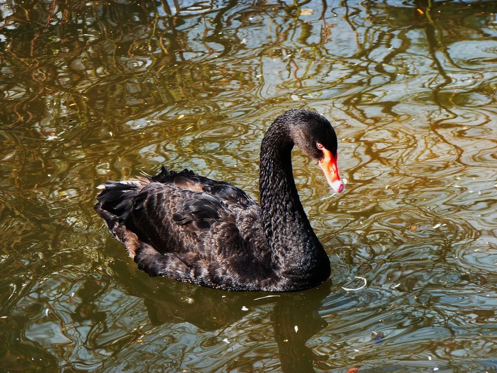 Photograph by Galina Leskova