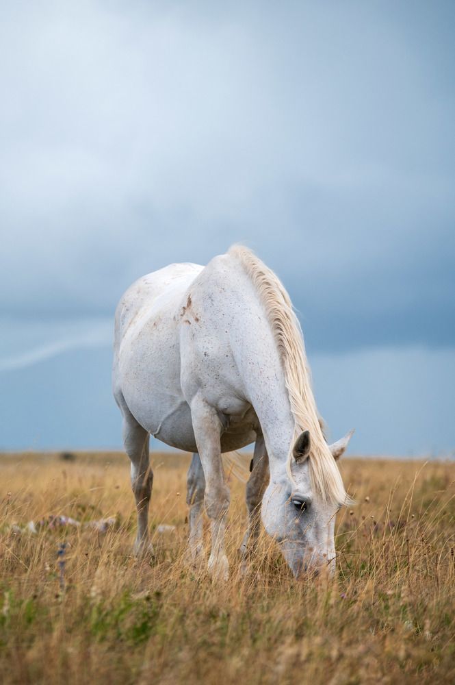 Photograph by Jasmin Džebo