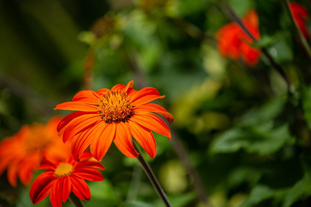 Photograph by Luis Manuel Jiménez Tabares