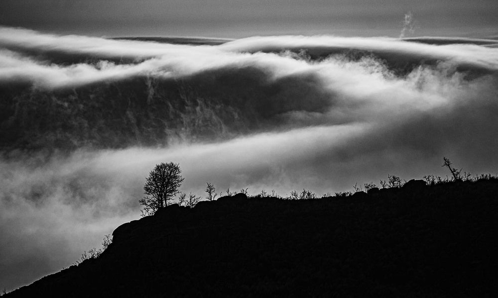 Photograph by MARCELO GIORGI