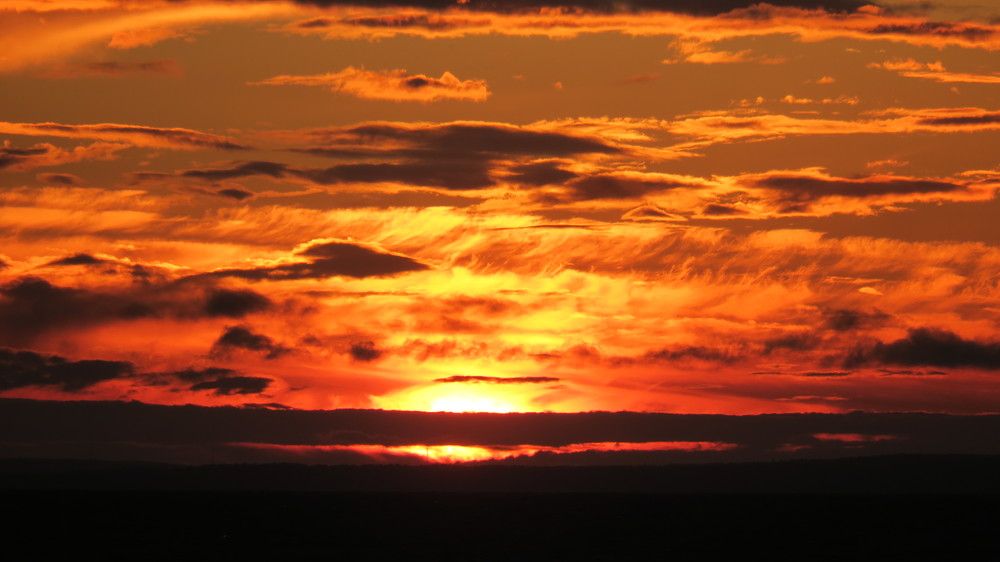 Photo #9541673