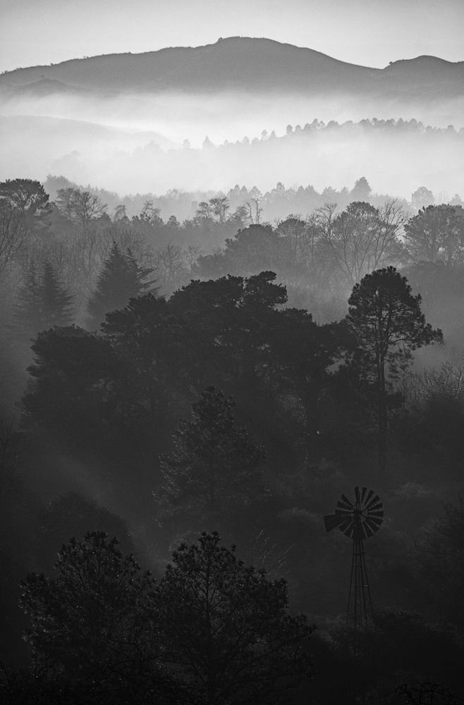 Photograph by MARCELO GIORGI