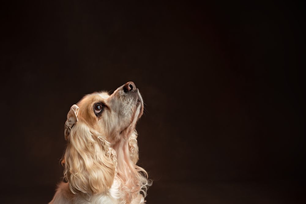 Photograph by Joanna García