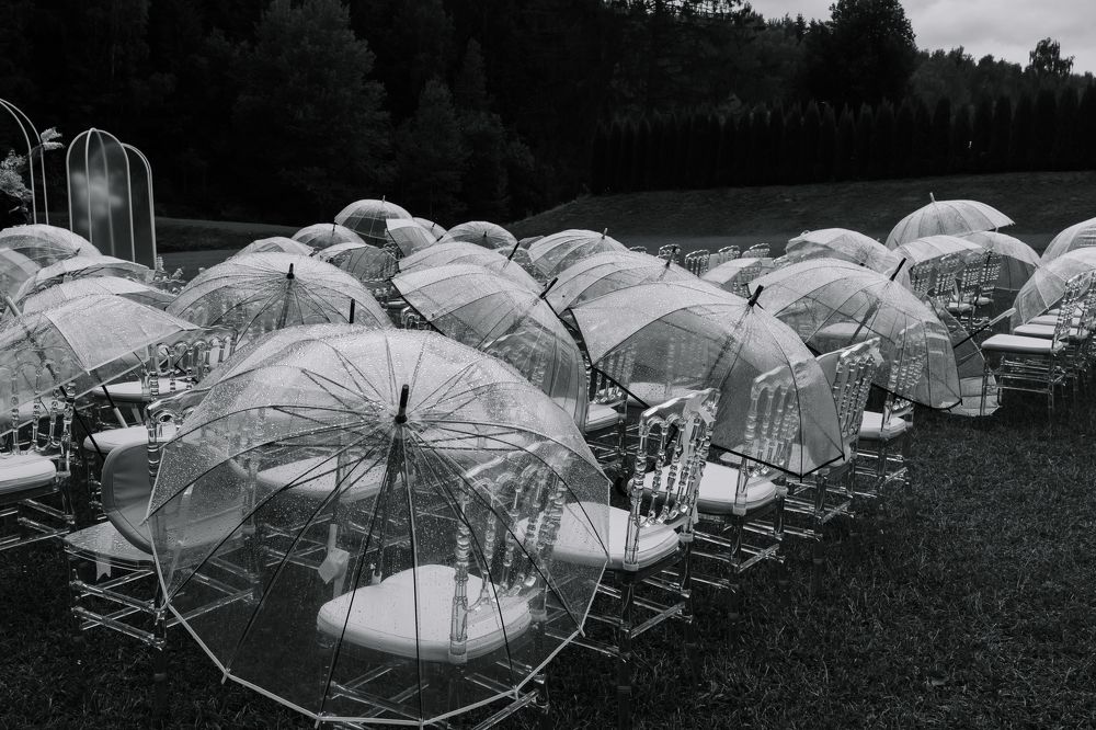 Photograph by Ольга Денисёнок