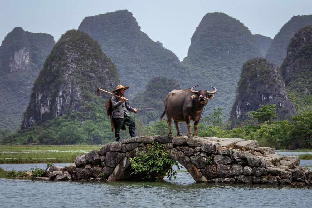 Photograph by Evgeny S.