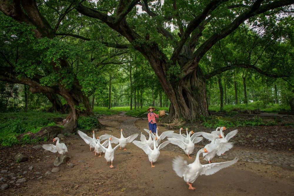 Photograph by Evgeny S.