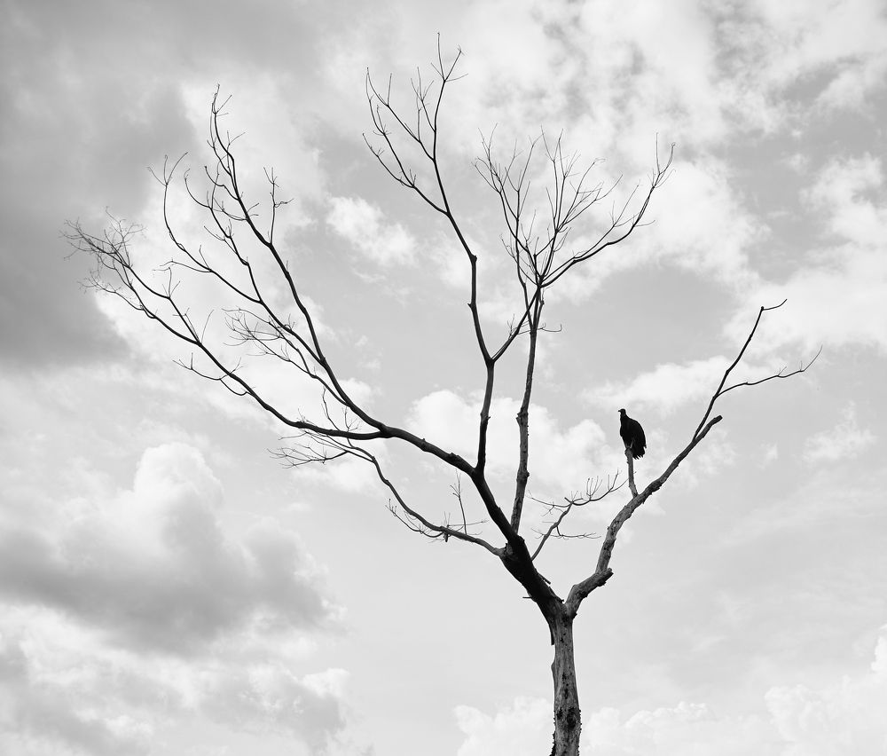 Photograph by Luis Manuel Jiménez Tabares