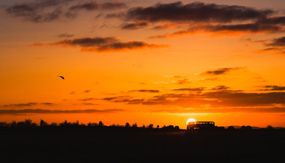 Photograph by Petrov Ivaylo