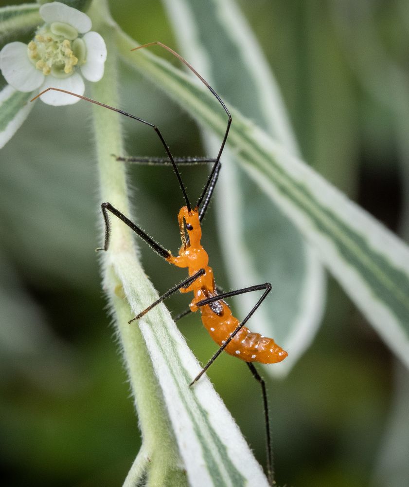 Photograph by Анатолий Костерев