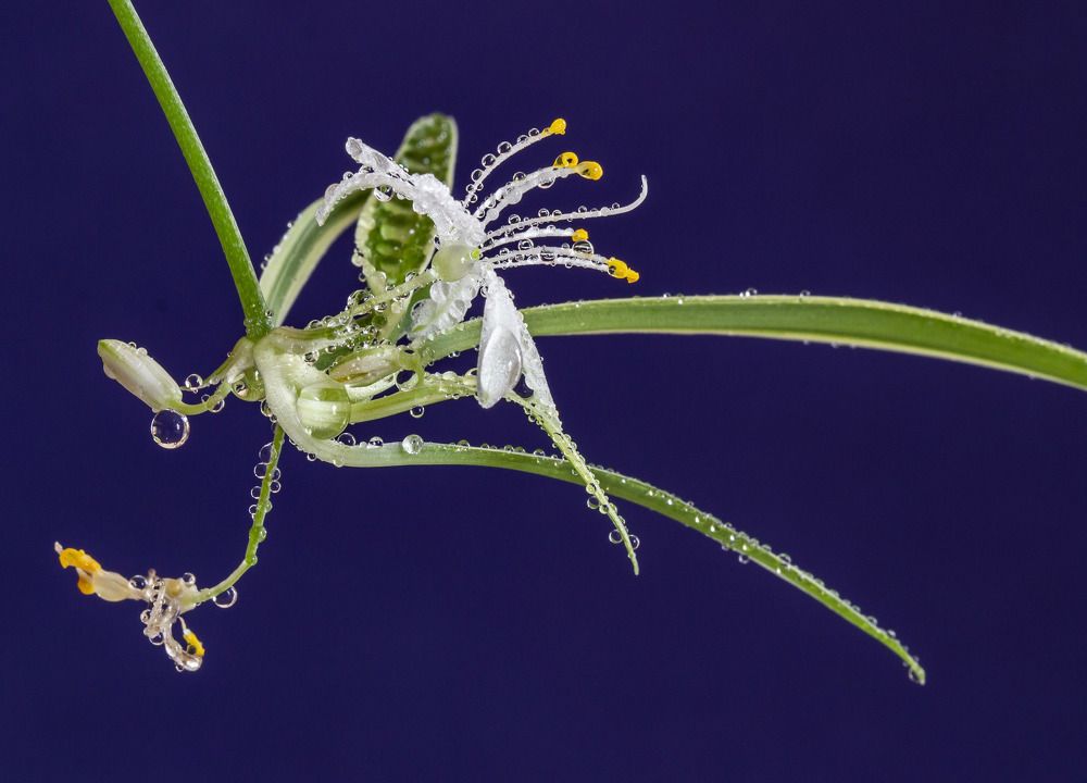 Photograph by Анатолий Костерев