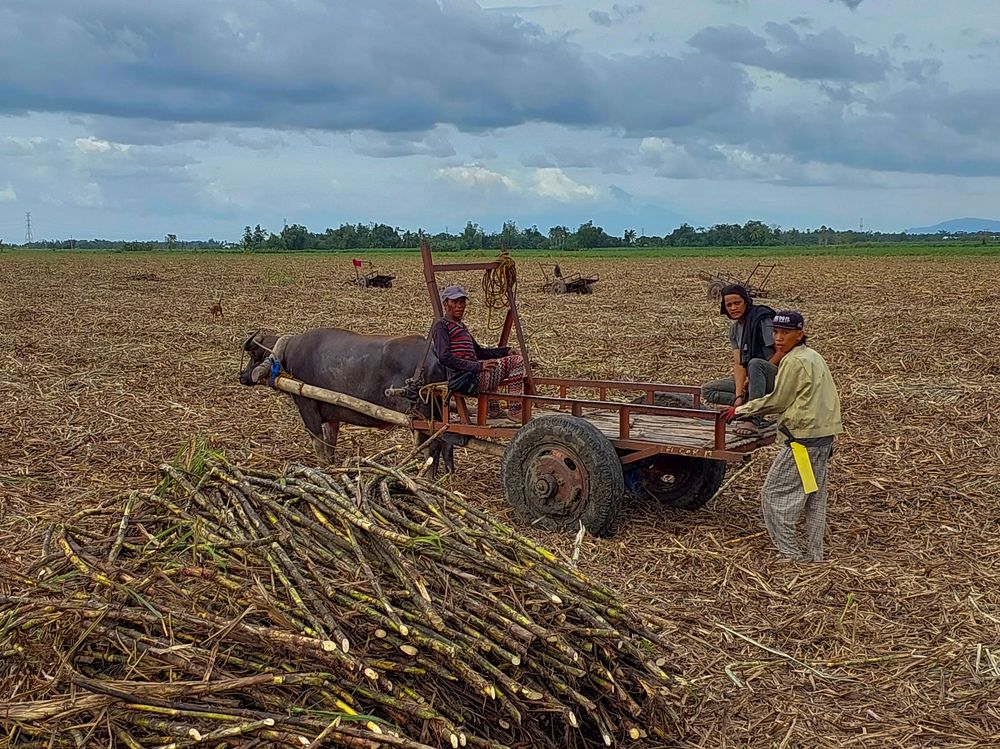 Photograph by Andrew Altarejos